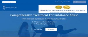 holistic drug treatment guide